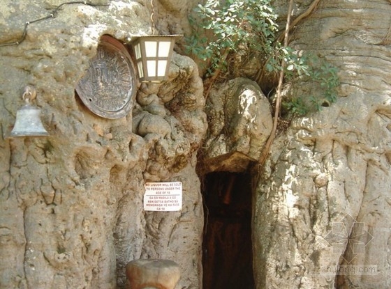 南非6000年樹齡猴面包樹上的陽光酒吧