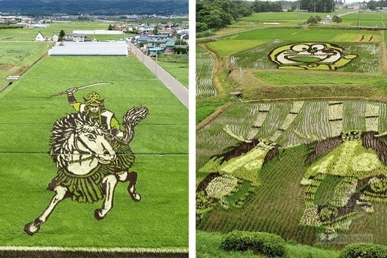 日本田舍館村村民設(shè)計(jì)的巨型稻田插畫(huà)藝術(shù)