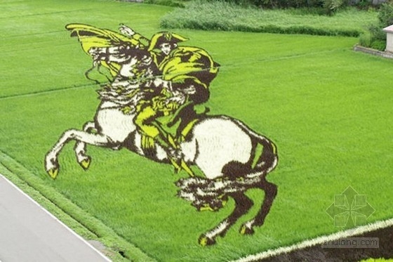 日本田舍館村村民設(shè)計(jì)的巨型稻田插畫(huà)藝術(shù)