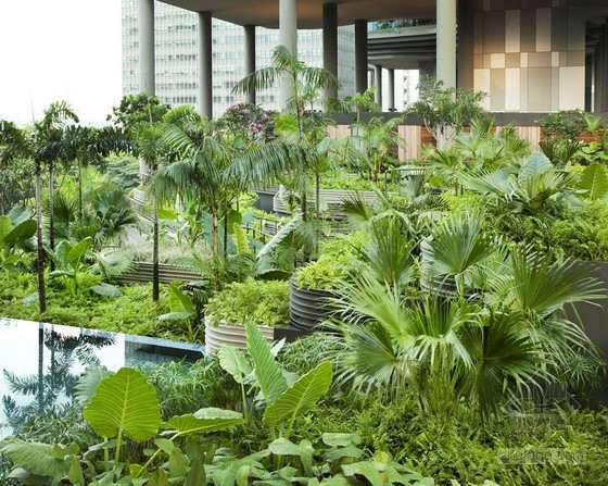 WOHA設計的空中花園酒店