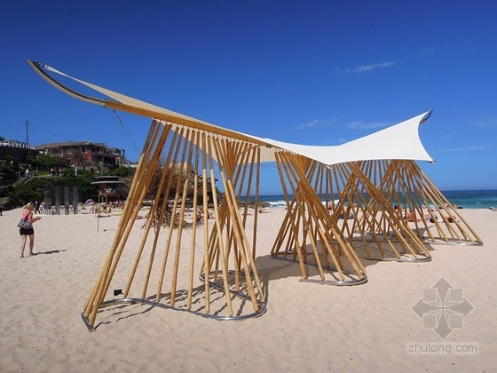 澳大利亞海灘涼亭bamboo waves