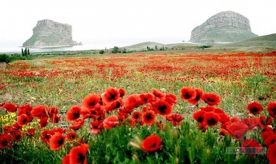 伊朗Ryhan別墅門庭設計