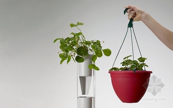 Britta Riley設計的窗戶垂直花園