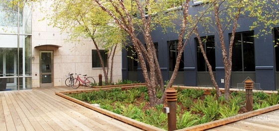 CMG設(shè)計(jì)的社交網(wǎng)絡(luò)公司園區(qū)