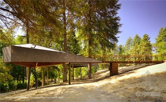 葡萄牙蛇形樹屋