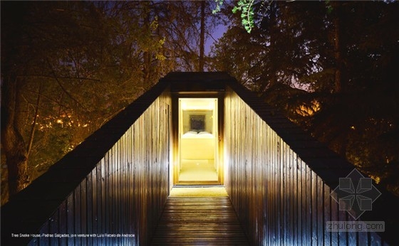 葡萄牙蛇形樹屋