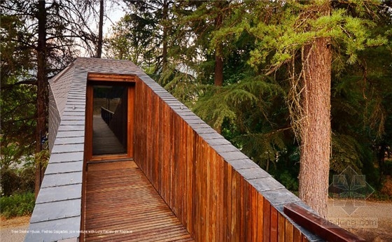 葡萄牙蛇形樹屋