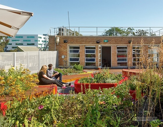 澳大利亞伯恩利的綠頂