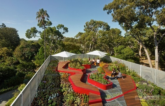 澳大利亞伯恩利的綠頂