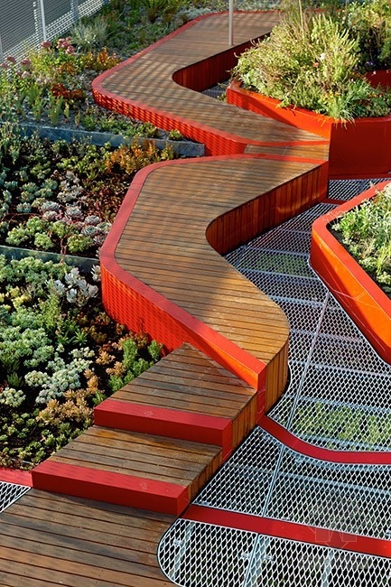 澳大利亞伯恩利的綠頂