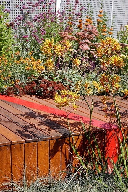 澳大利亞伯恩利的綠頂