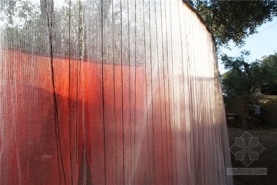 LOVO-宇宙發(fā)光卵避難所