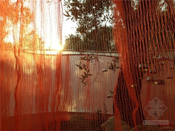 LOVO-宇宙發(fā)光卵避難所