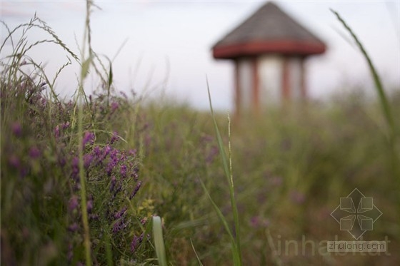 加州掩土農場小屋