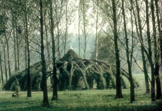 前人栽樹現實版:多年的樹木長成屋