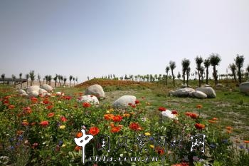 章俊華作品：新疆巴州和碩濱河公園（二期）