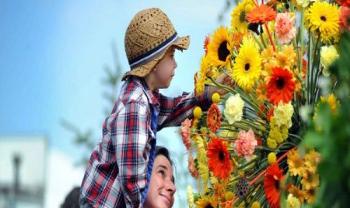 蘇格蘭園藝展盛大開(kāi)幕