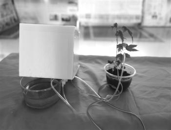 東北林大學生發明智能園丁自動澆花