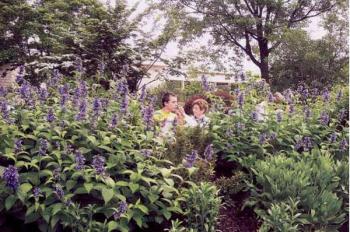 療養景觀:景觀里的“治愈系”