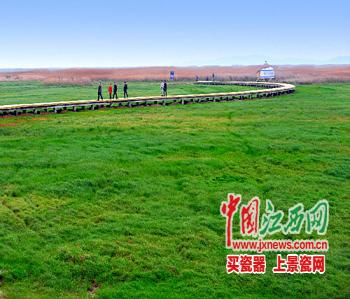 江西濕地,拿什么保護你(圖)