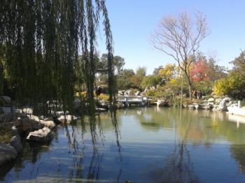 碧水藍天共秋葉一色 深秋園博園景色醉人