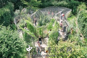 2014法國國際花園節:LES FLEURS MAUDITES