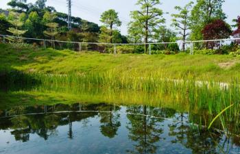 2014ASLA專業獎(3)：低維護生態園區—萬科研發中心