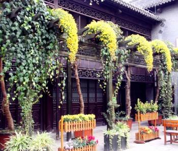 揚州今年新增11萬平米“空中綠地”