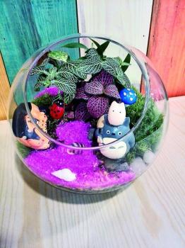 “微景觀”:把童話世界裝進(jìn)瓶子里(圖)