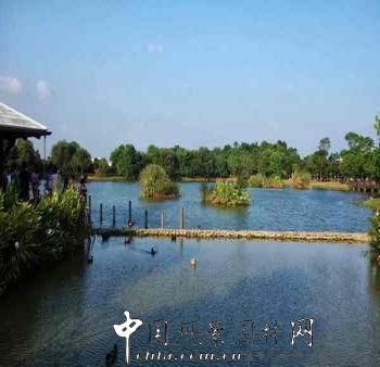 臺灣考察項目——八德埤塘生態公園（組圖）