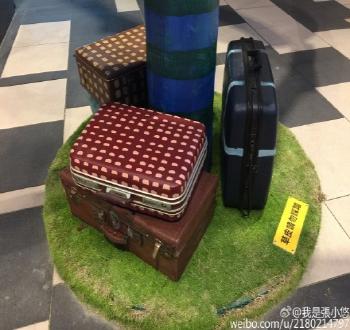 中國風景園林網