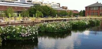 2014ASLA專業(yè)獎(8)：費城Urban Outfitters總部園區(qū)