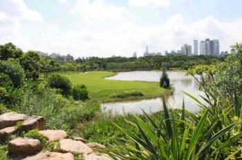 深圳華美綠：深圳福田區(qū)紀念公園園林綠化工程