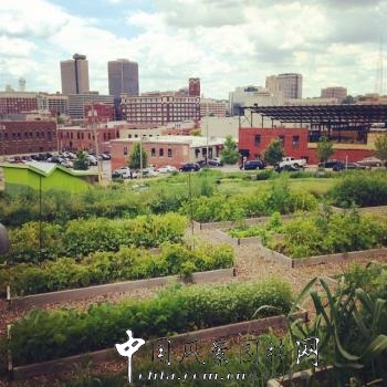 美國堪薩斯18Broadway城市雨水花園(組圖)