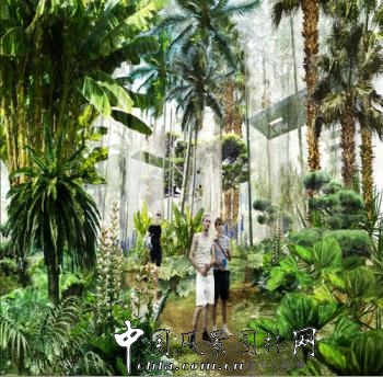 中國風景園林網