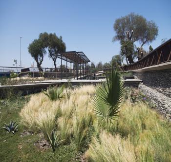 智利科皮亞波市Kaukari城市公園景觀設計