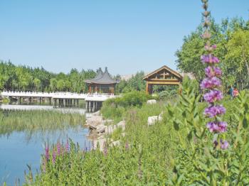 內(nèi)蒙烏海:海南區(qū)推進(jìn)國(guó)家園林城市創(chuàng)建綜述