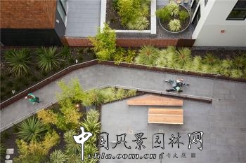 美國加利福尼亞州常春藤社區住宅景觀設計