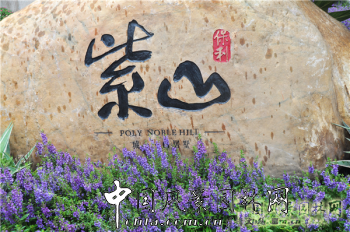 2015園冶杯住宅景觀獎(jiǎng)大獎(jiǎng)項(xiàng)目:保利紫山城心?山居墅