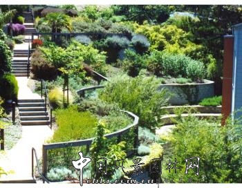 杰弗里·米勒:“順勢(shì)而建”的住區(qū)花園