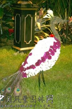 走近美國費城花展