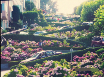 美西考察雷丁和舊金山站：感受別致的景觀設計