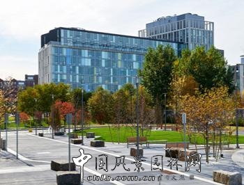 美國劍橋北角口袋公園項目賞析