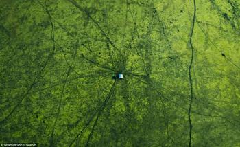 驚艷美景：孟加拉國航拍（圖片賞析）