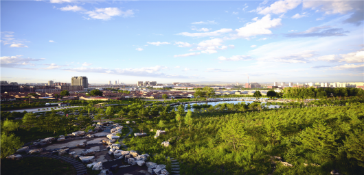 白泉山荒山修復后