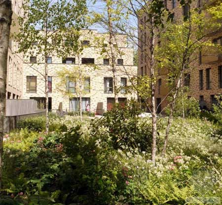 英國(guó)St Andrews港市經(jīng)濟(jì)住宅區(qū)