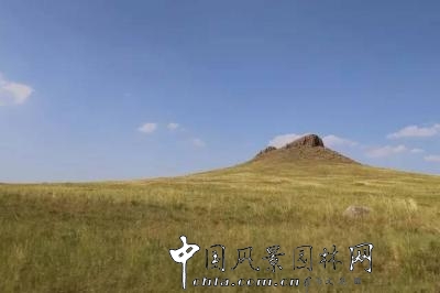 風沙中的堅強小草——蒙草生態修復顯成效