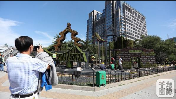 一位市民用手機拍攝建設中的“協調發展”花壇