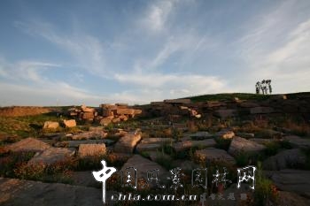 章俊華:“時”與“序” 的感悟