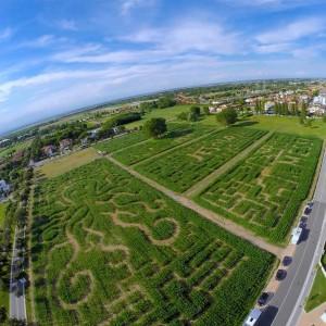 意大利威尼斯一個臨時性的玉米迷宮